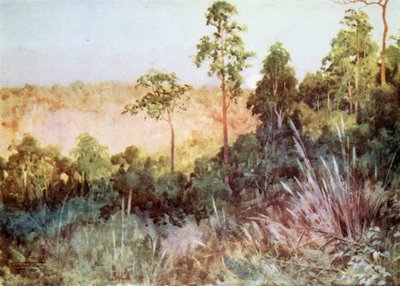 Jungle on the Lashio Line by Robert George Talbot Kelly